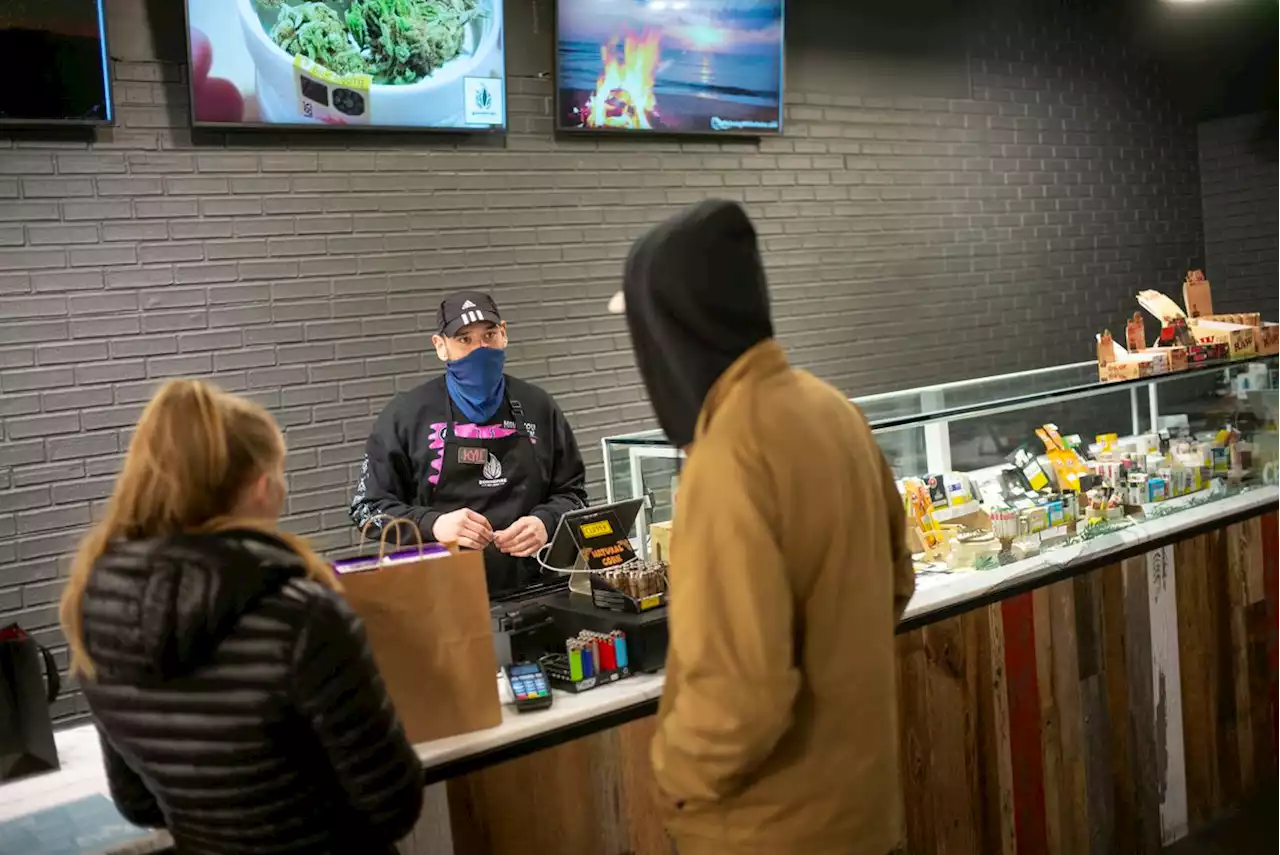 Why cannabis prices are plunging – unlike just about everything else