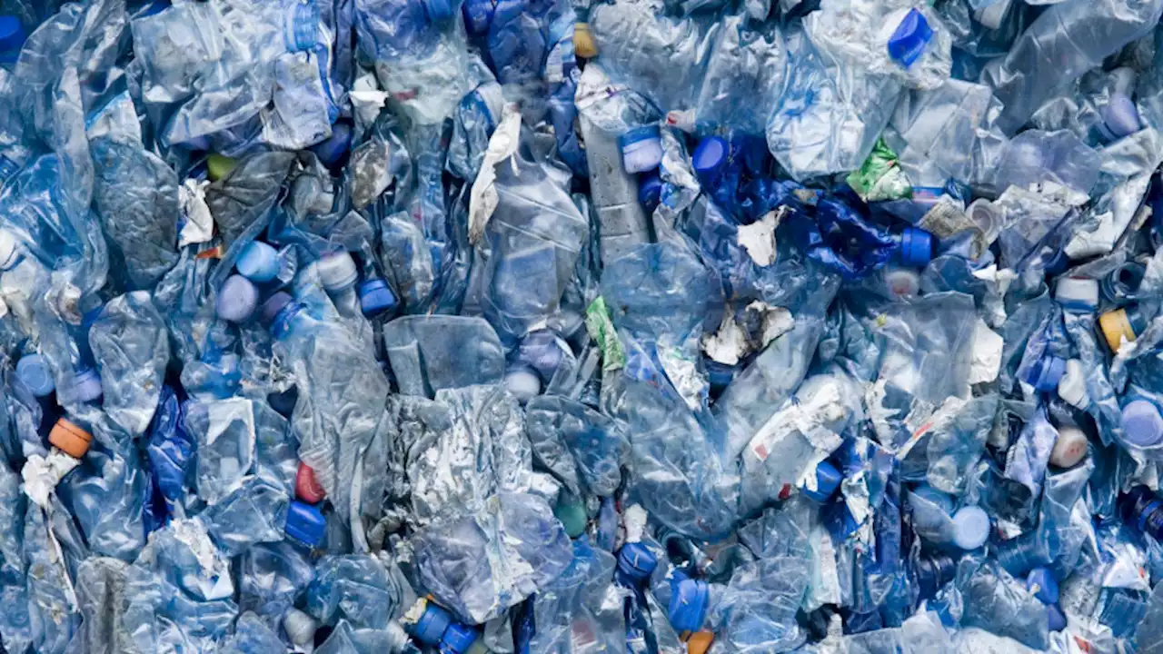 A novel plastic-eating enzyme may solve our plastic woes once and for all