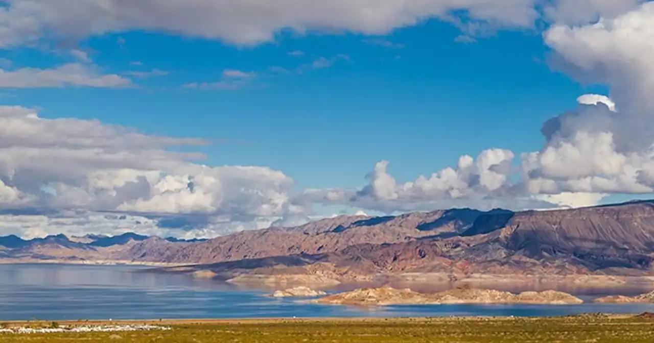 Barrel containing human remains discovered in Lake Mead