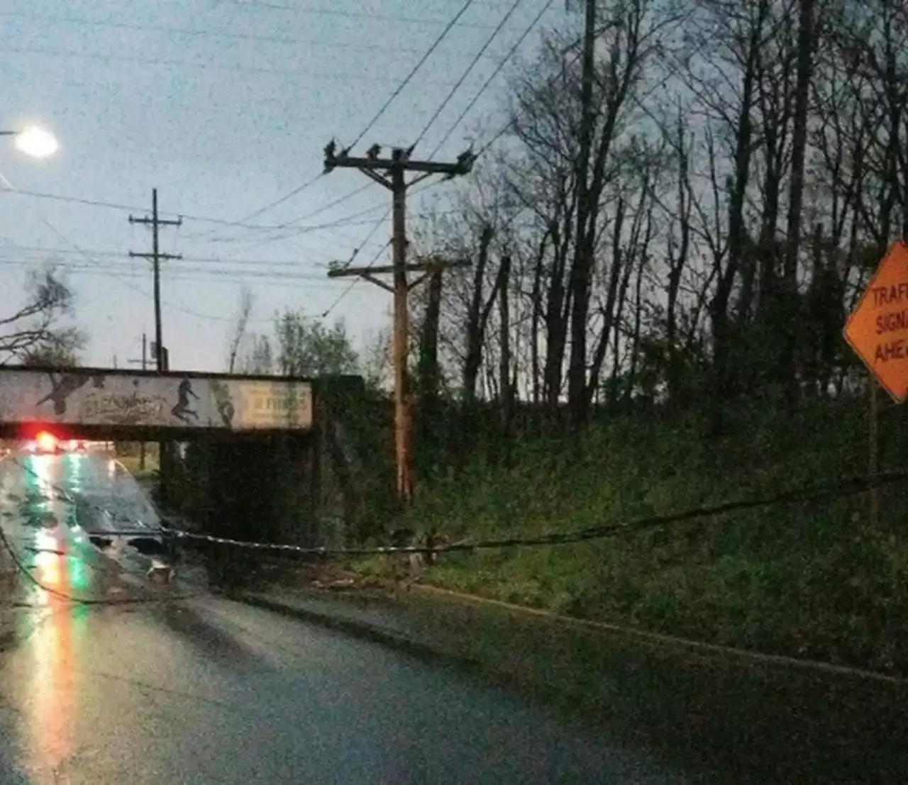 NJ Transit trains suspended on Northeast Corridor line due to downed wires