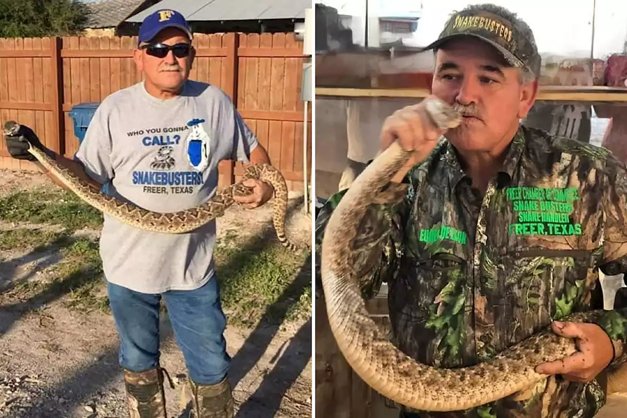 Veteran snake handler dies after bite at Texas festival: ‘He had a passion’