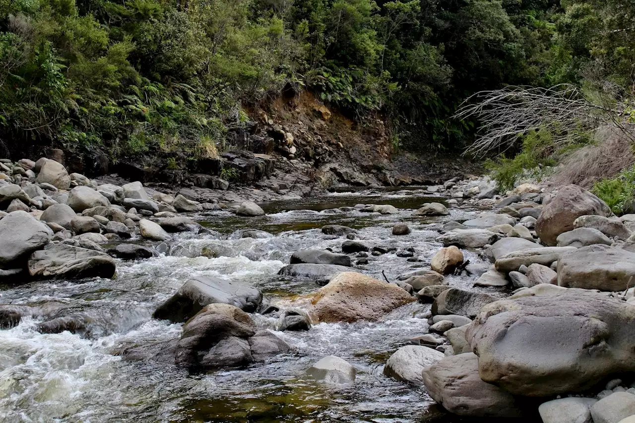 How to find drinkable water in the wild