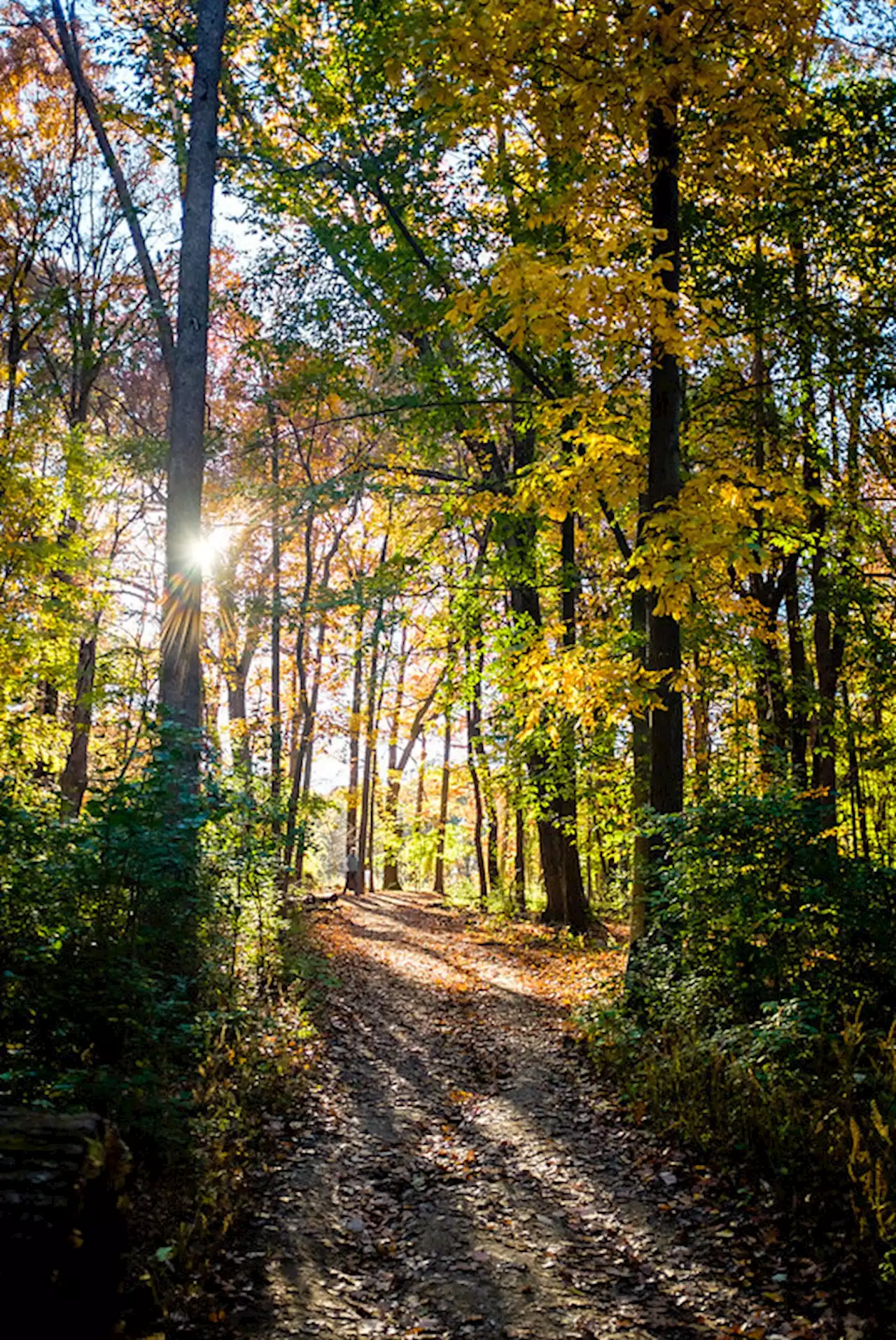 Missed Connection - Glover Park Trail