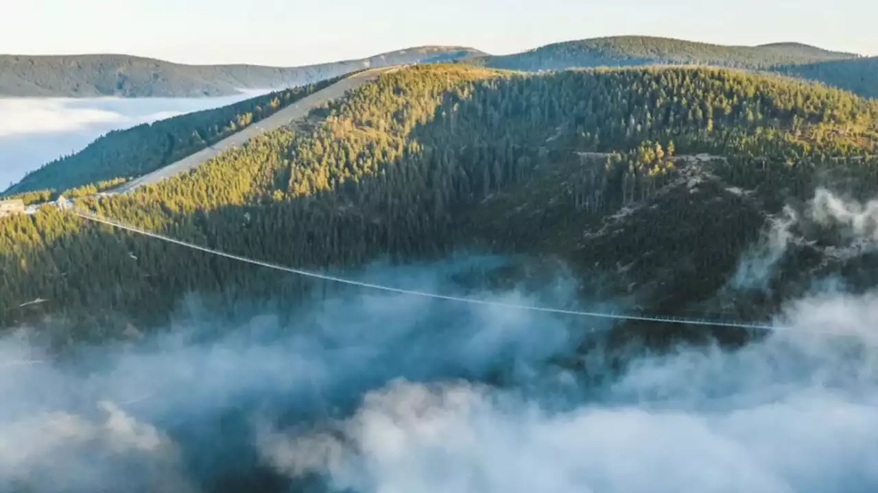 Passeggiata da brividi: ci vuole coraggio per sfidare il ponte tibetano più lungo al mondo - Video