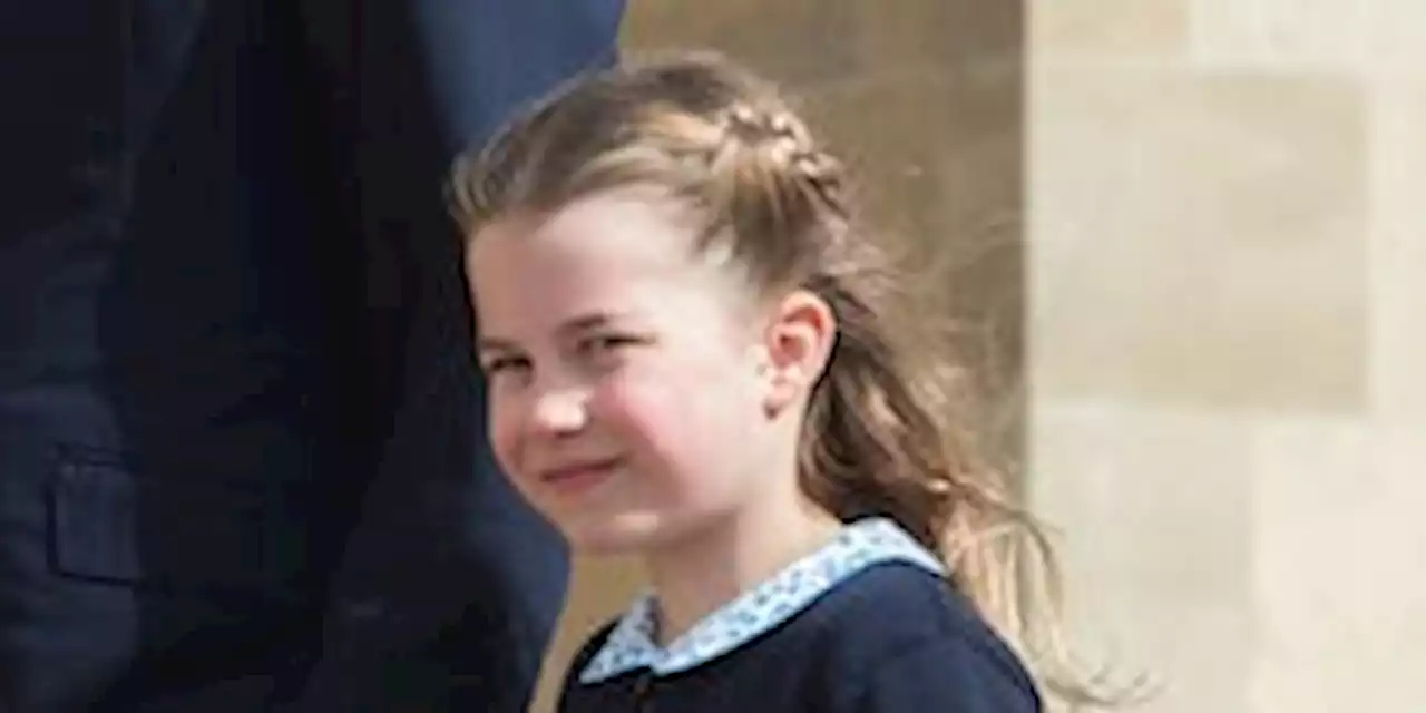 Royal fans are all saying the same thing about Princess Charlotte's 7th birthday portrait