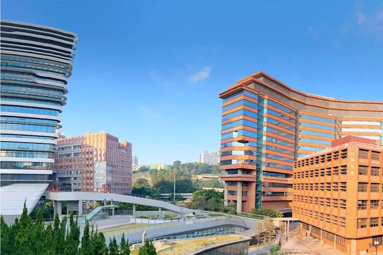 Get a global education with a flexible curriculum and new modules in AI and data analytics at this university