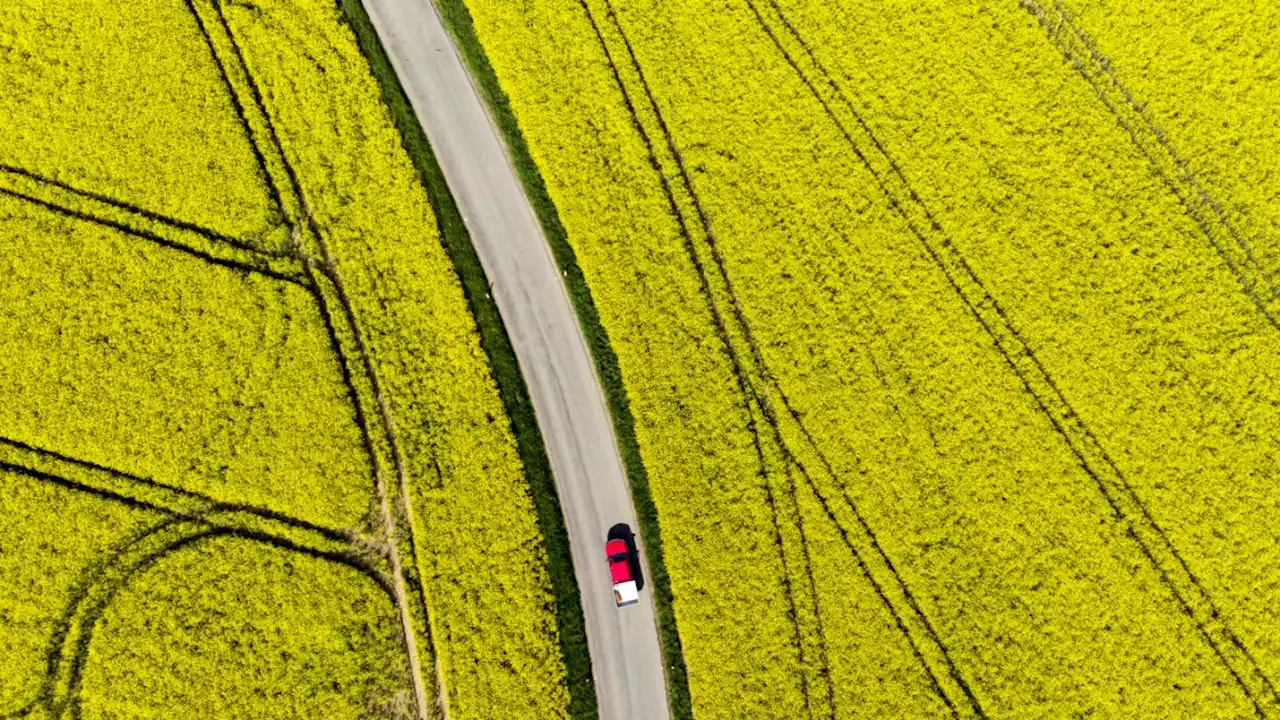 Weniger Pflanzen für Biogas