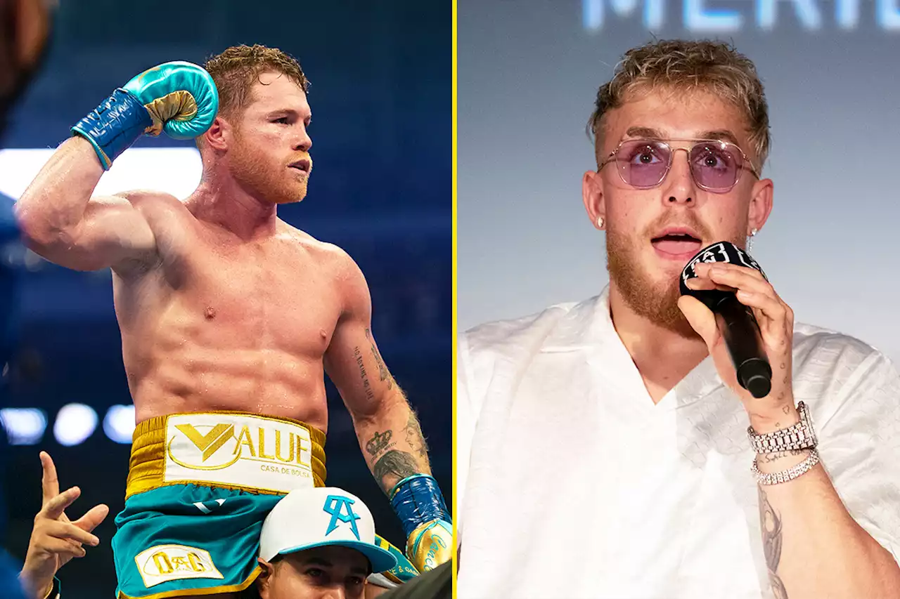 Nate Diaz mocks Jake Paul for suggesting he’ll beat Canelo Alvarez