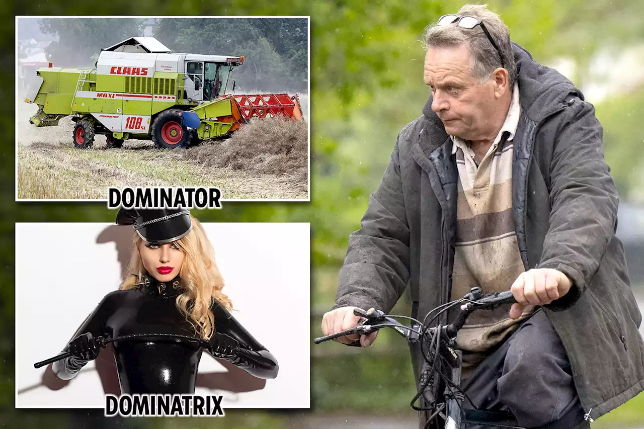 MP 'searched for 'Dominator harvester' before stumbling across porn'