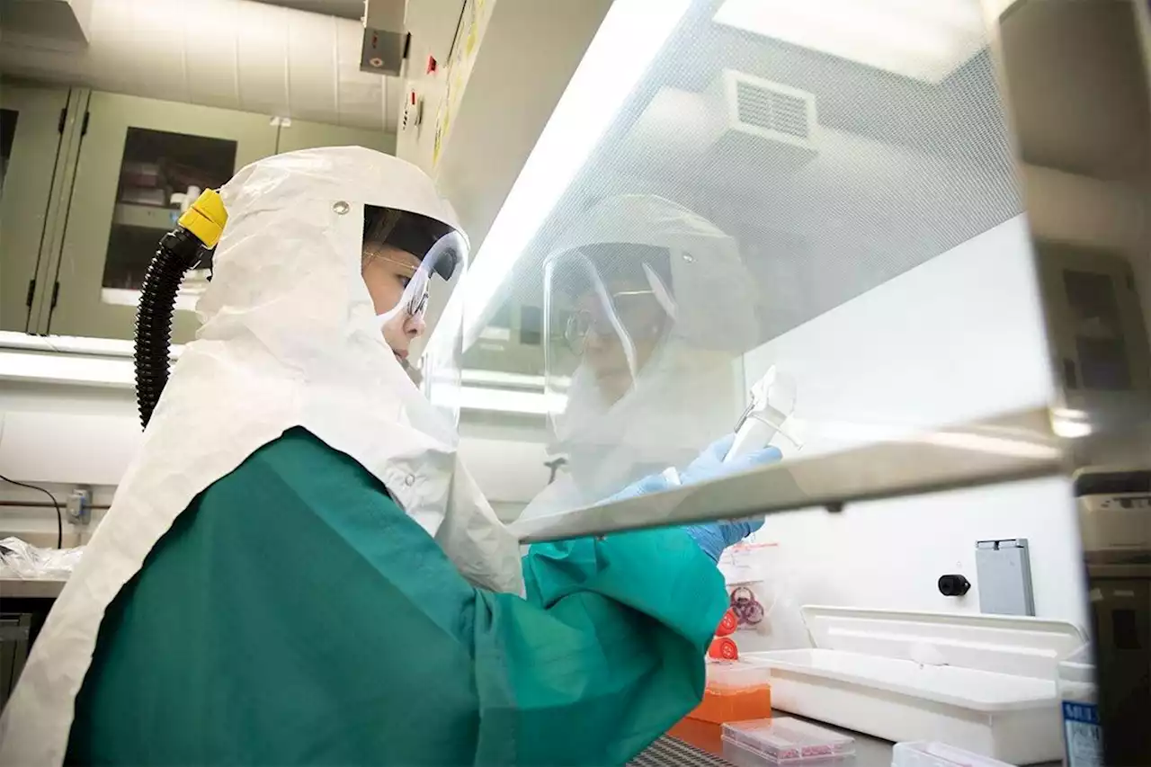 Opinion | Invest in containment lab for infectious diseases before the next crisis