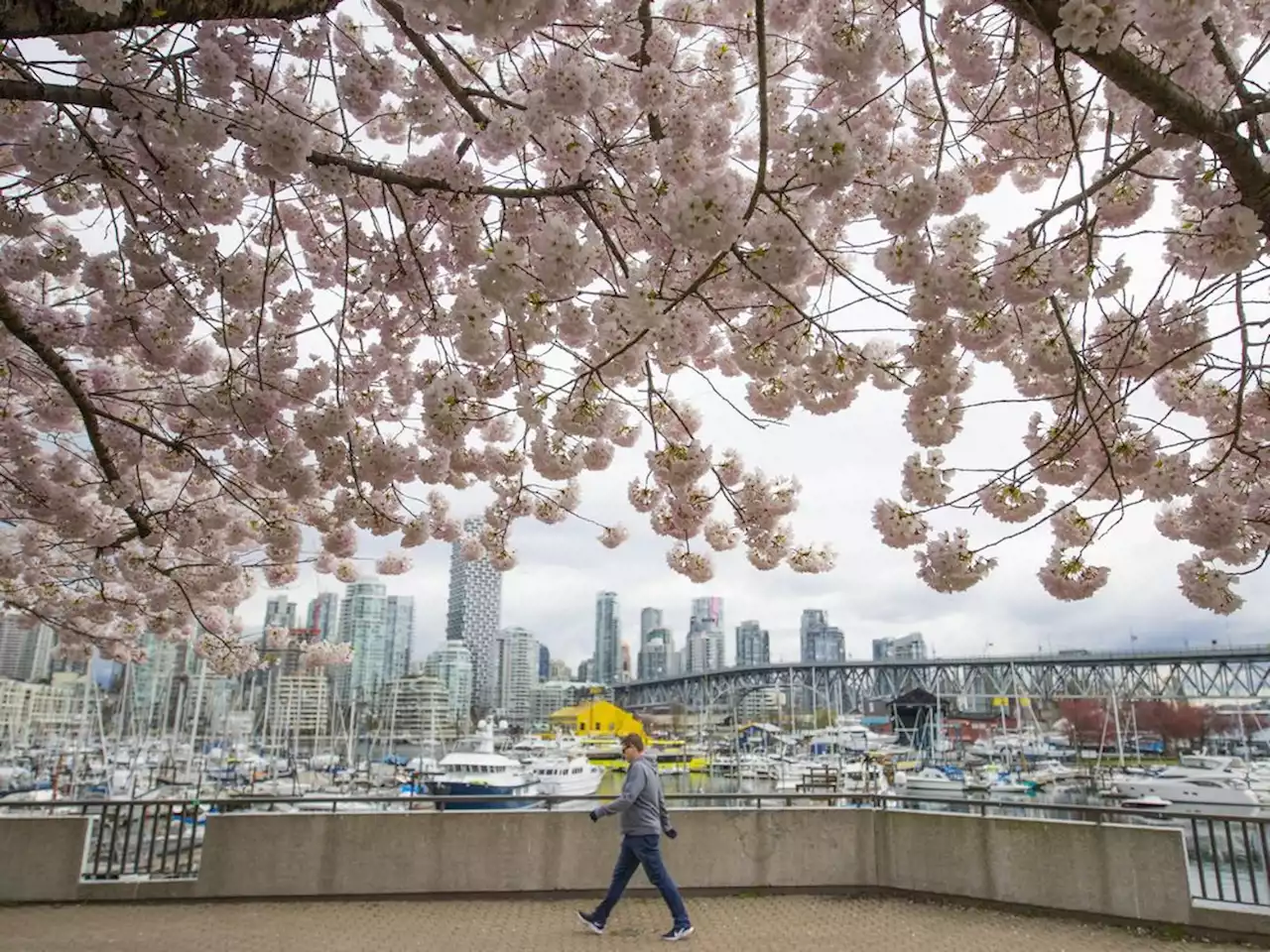 Vancouver Weather: May showers, but some sun later