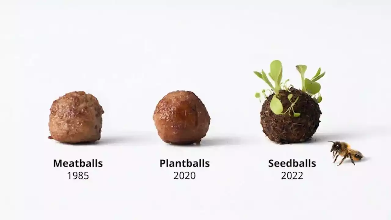 Ikea macht jetzt auch Köttbullar für Insekten | W&V