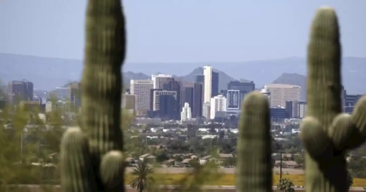 Climate change threatens saguaro cacti's survival