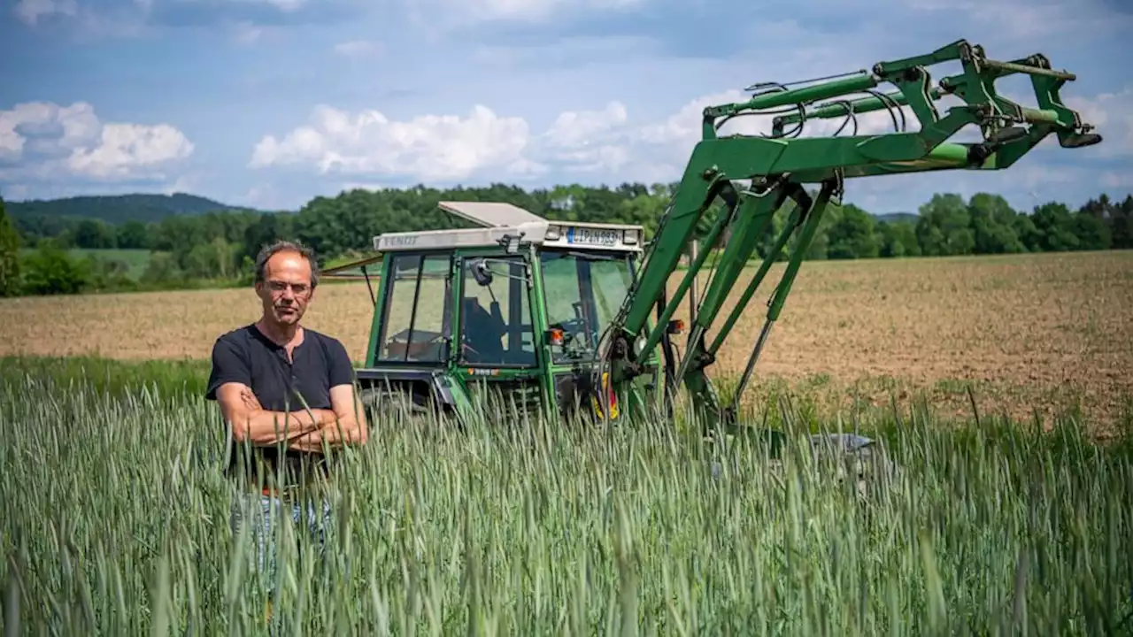 Farmer sues VW over climate change; German court has doubts