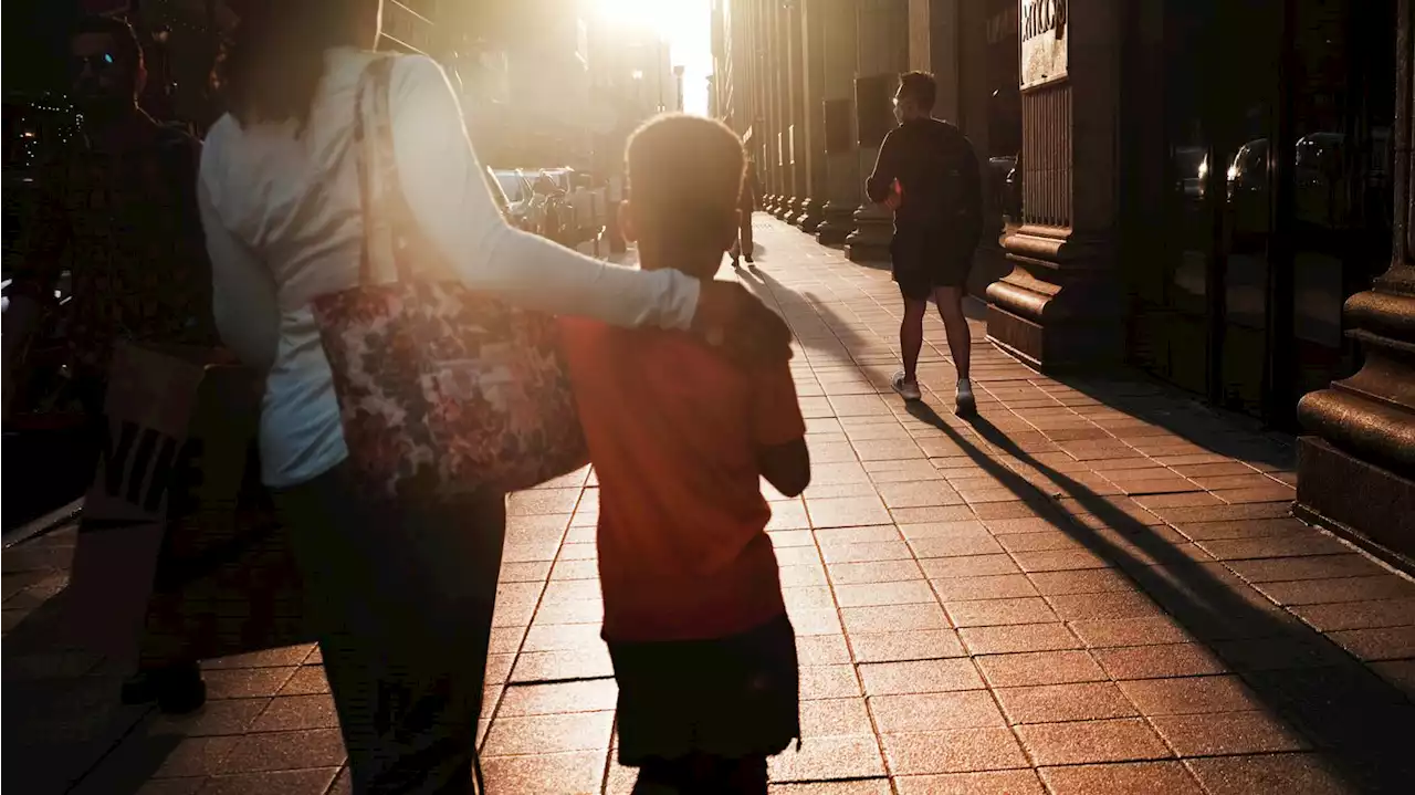 Pedestrian deaths hit 40-year high