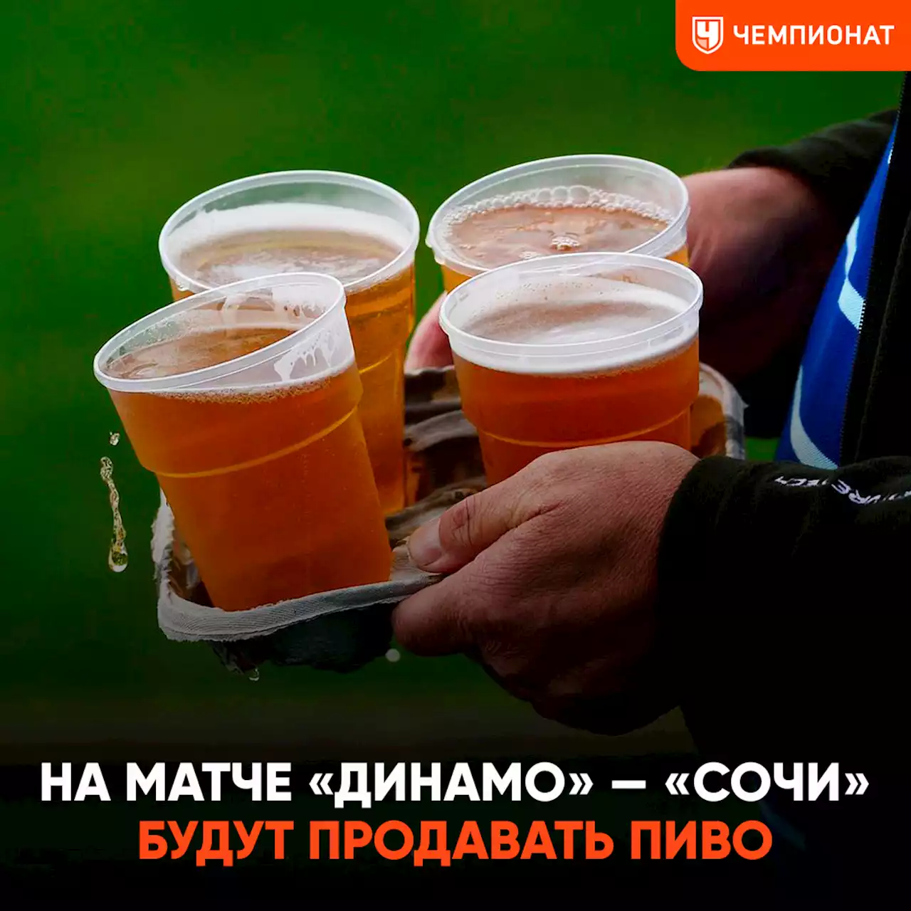 Источник: на матче «Динамо» — «Сочи» будут продавать пиво