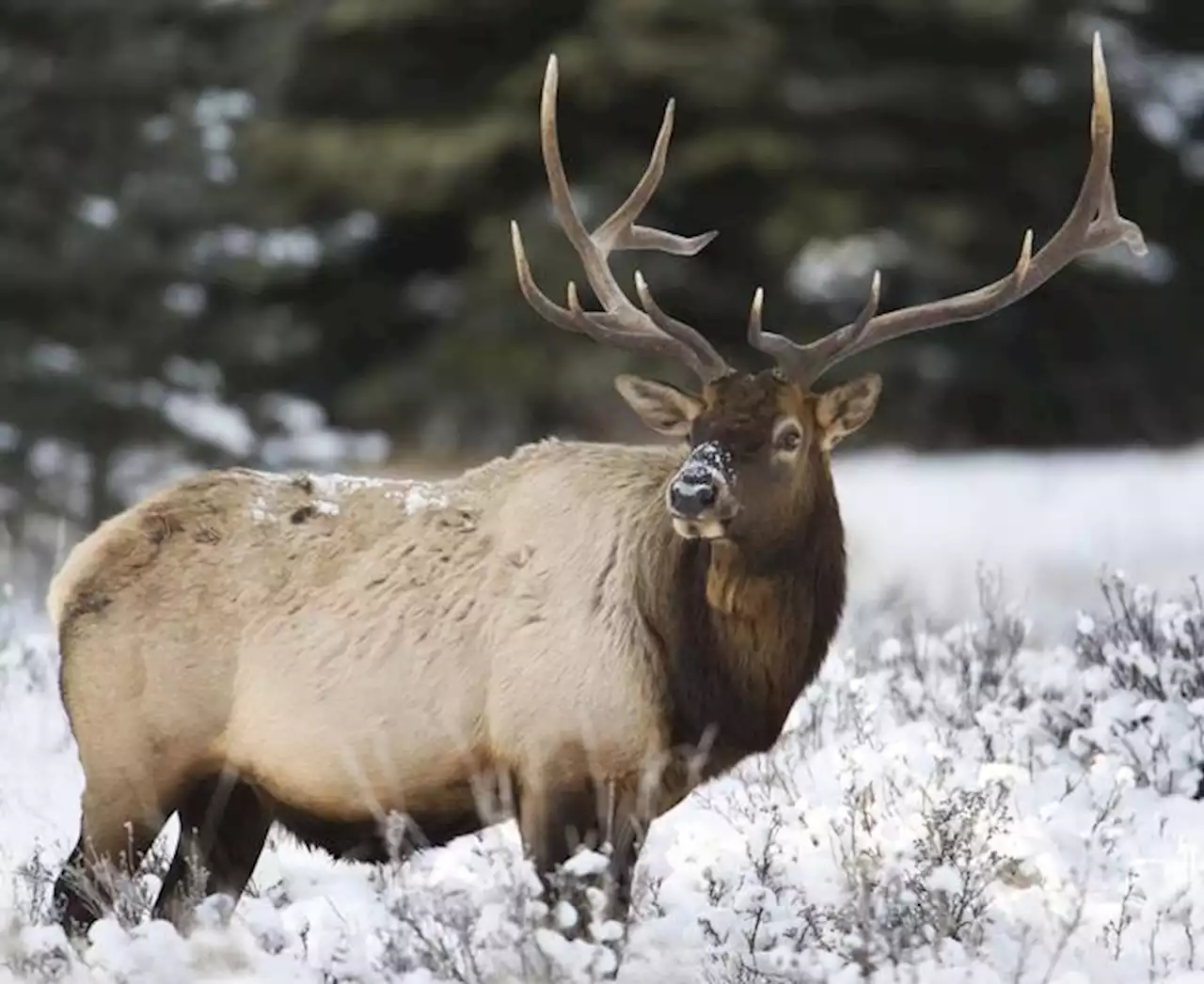 Black Colorado Parks and Wildlife employee targeted by “back of the bus” remark also on leave as her comments are investigated