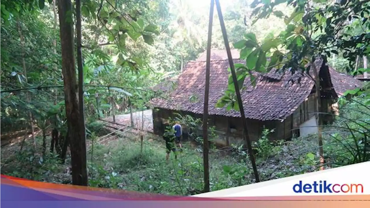 Bukan Karena Takut, Ini Alasan Pemilik Tinggalkan Rumah 'KKN di Desa Penari'