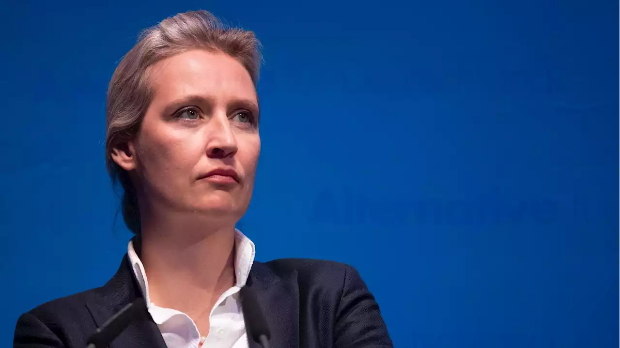 AfD-Chat - ARD-Recherchen: Umsturzgedanken innerhalb der Partei