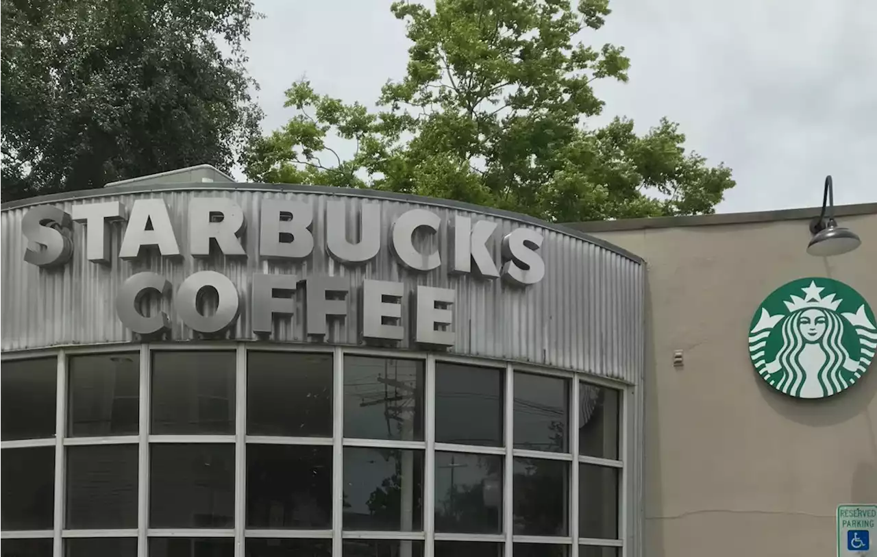 New Orleans Starbucks Fires Worker Leading Maple Street Store’s Unionization Effort