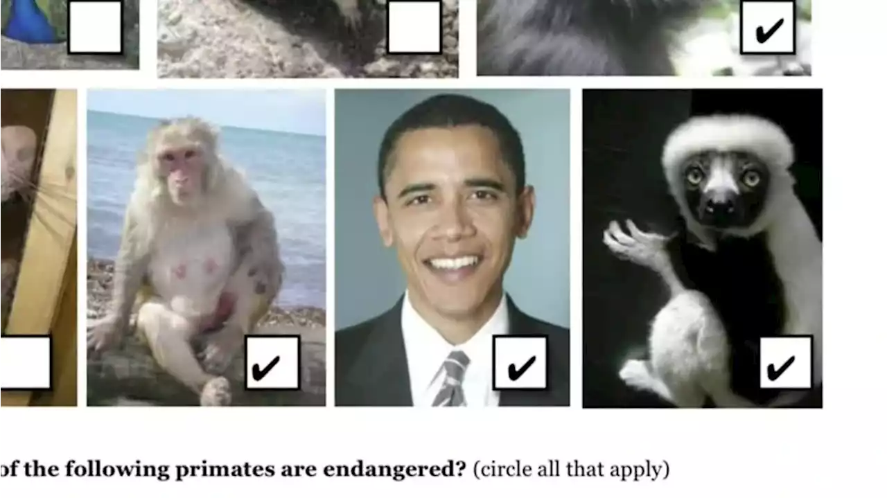 School assignment shows Obama next to primates