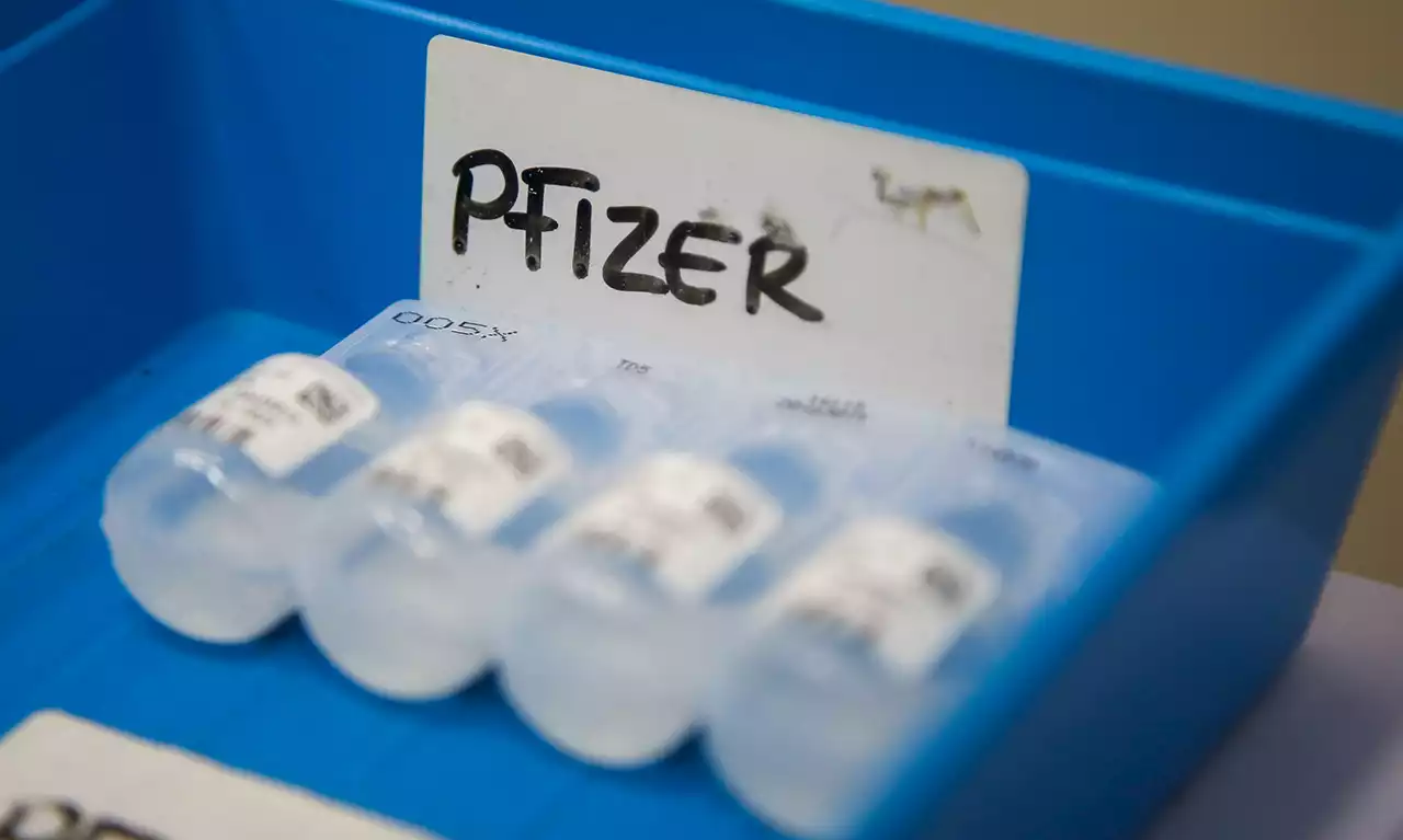 CDC recommends Pfizer booster shot for children 5 to 11