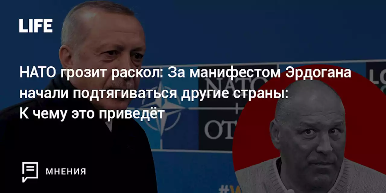 НАТО грозит раскол: За манифестом Эрдогана начали подтягиваться другие страны: К чему это приведёт