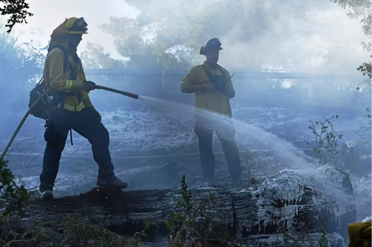 Grass fire interrupts East Bay BART service