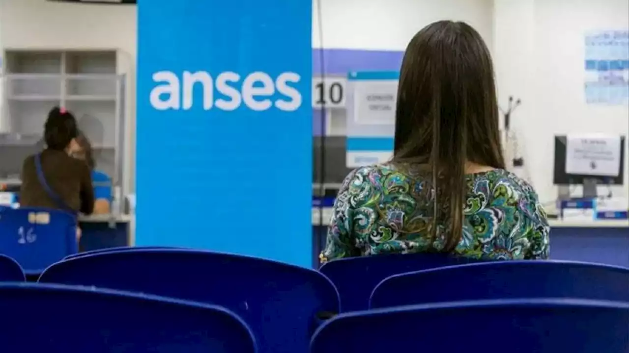 Pagos de ANSES: IFE, Bono, Tarjeta Alimentar, quiénes cobran hoy viernes 20 de mayo