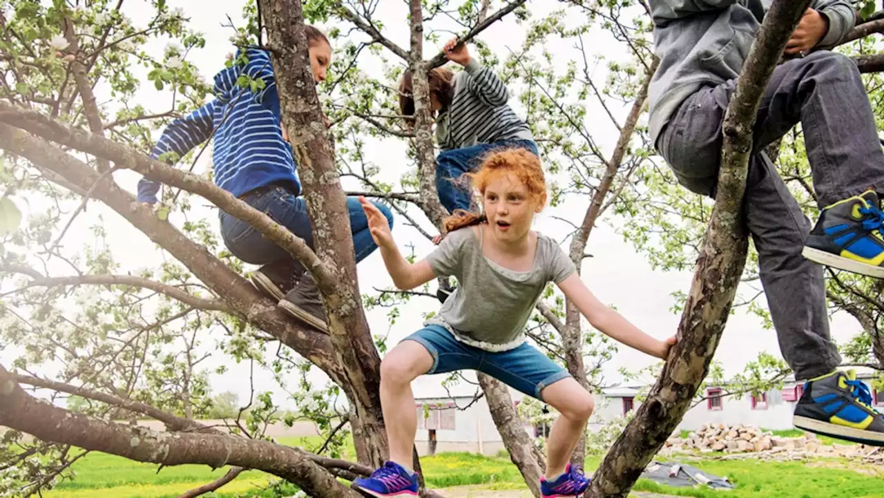 Why a little risk in kids' playtime might be just what they need