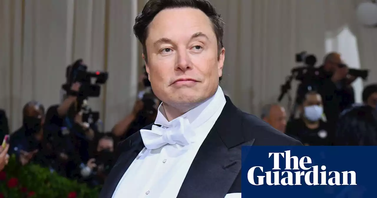 Elon Musk denies he sexually harassed attendant on private jet in 2016