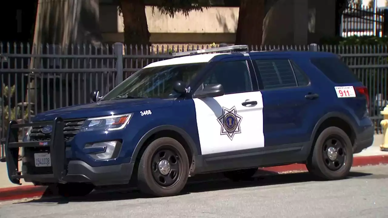 Woman Says SJ Police Officer Groped Her While Responding to Call