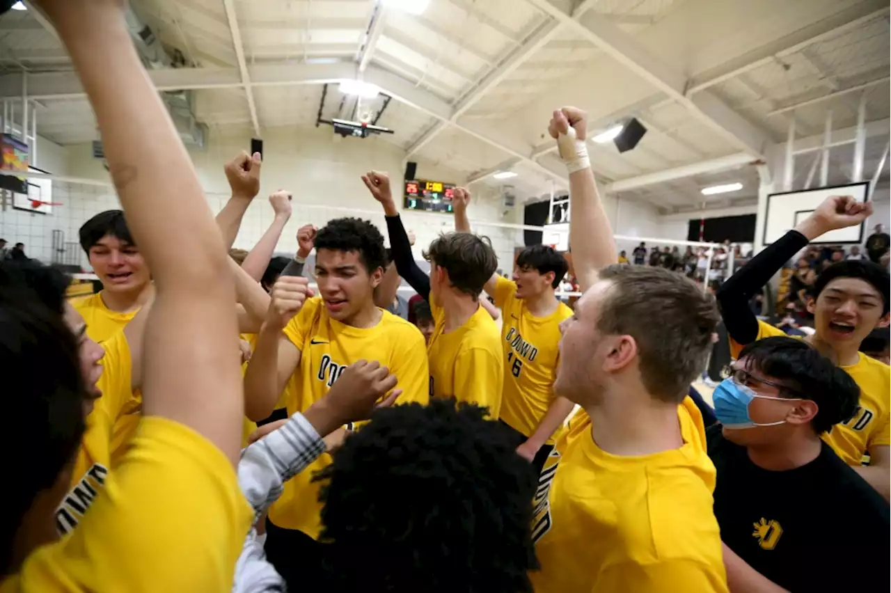 CIF NorCal boys volleyball: Bishop O’Dowd beats unbeaten opponent to reach Division III final