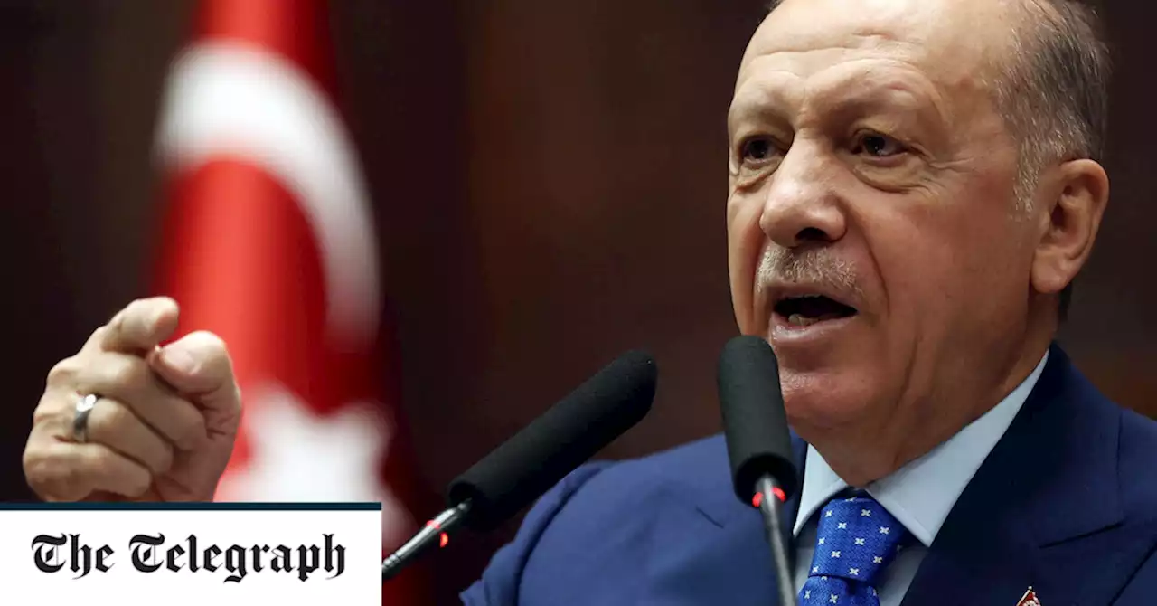 President Erdogan knows how to secure a high price from the West