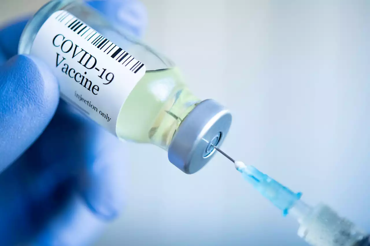 Covid-19 update: 6,375 new cases identified in SA in 24 hours – The Citizen