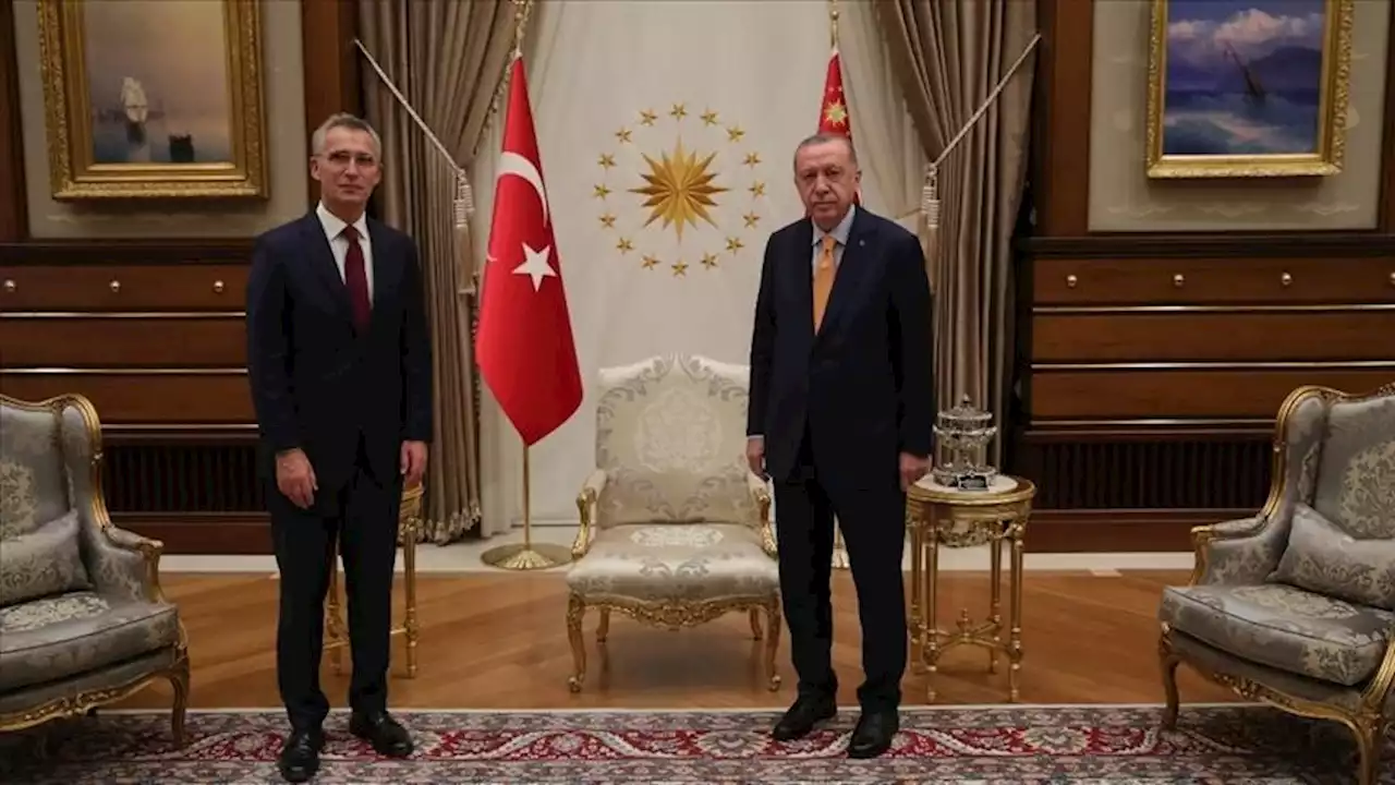 أردوغان يبحث مع ستولتنبرغ انضمام السويد وفنلندا للناتو