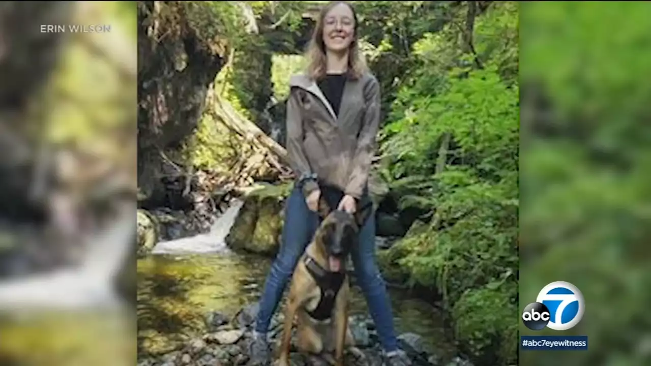 Northern California woman praises her pet dog, Eva, for saving her life during mountain lion attack