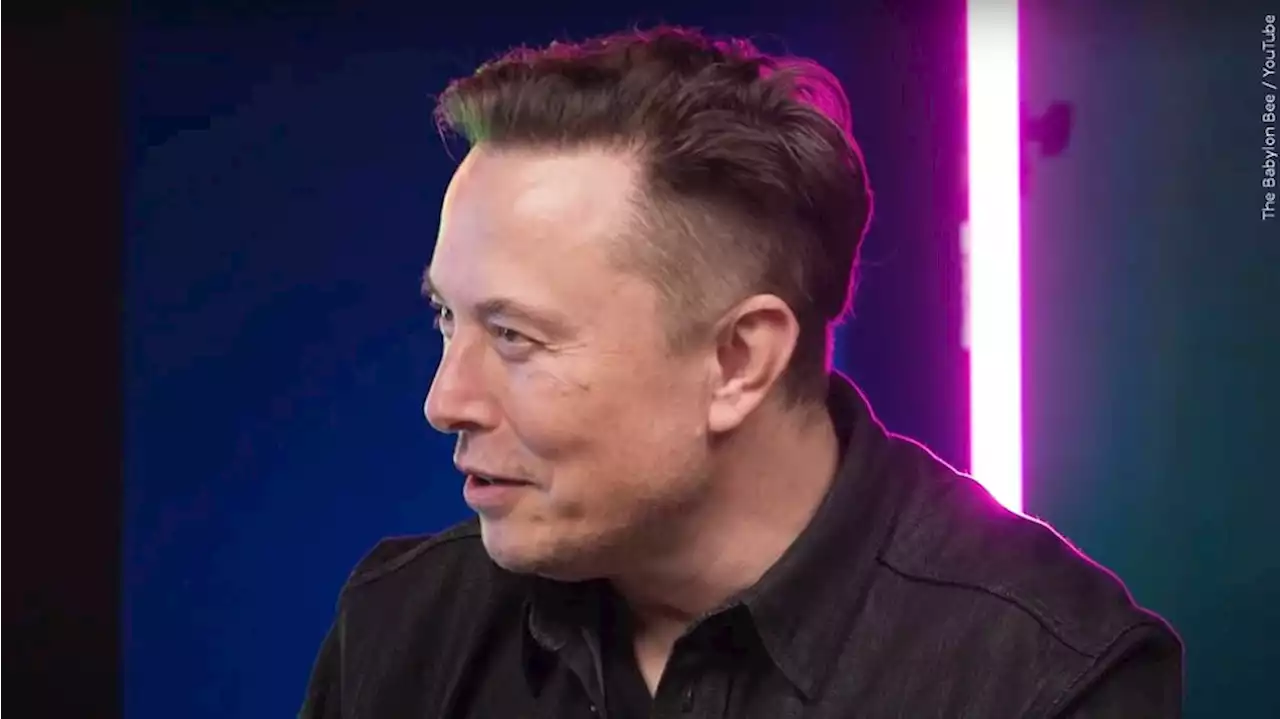 Elon Musk denies sexual misconduct allegation by flight attendant