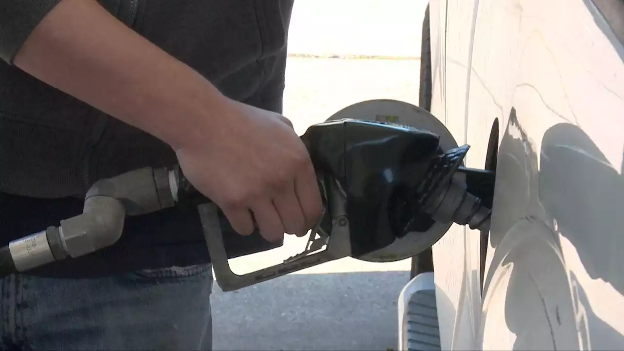 State's Highest Gas Prices Located in West Alabama - Alabama News