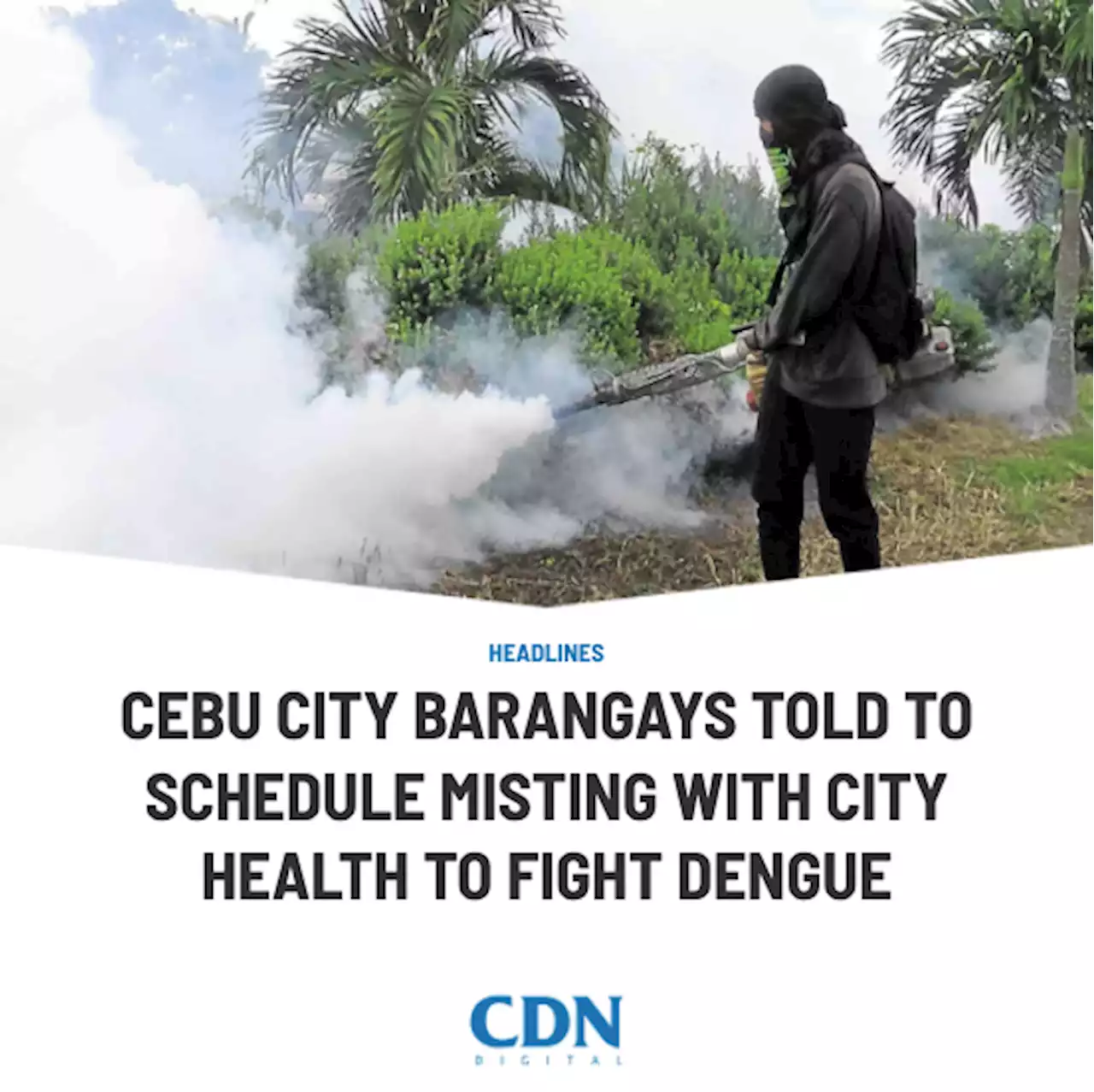 Cebu City barangays told to schedule misting with City Health to fight dengue