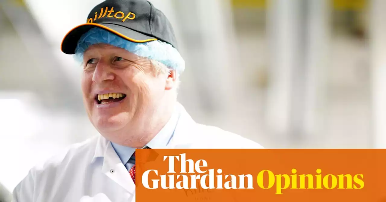 Lawbreaking, rich lists and yet another ‘shakeup’: it’s a normal week at Tory HQ | Marina Hyde