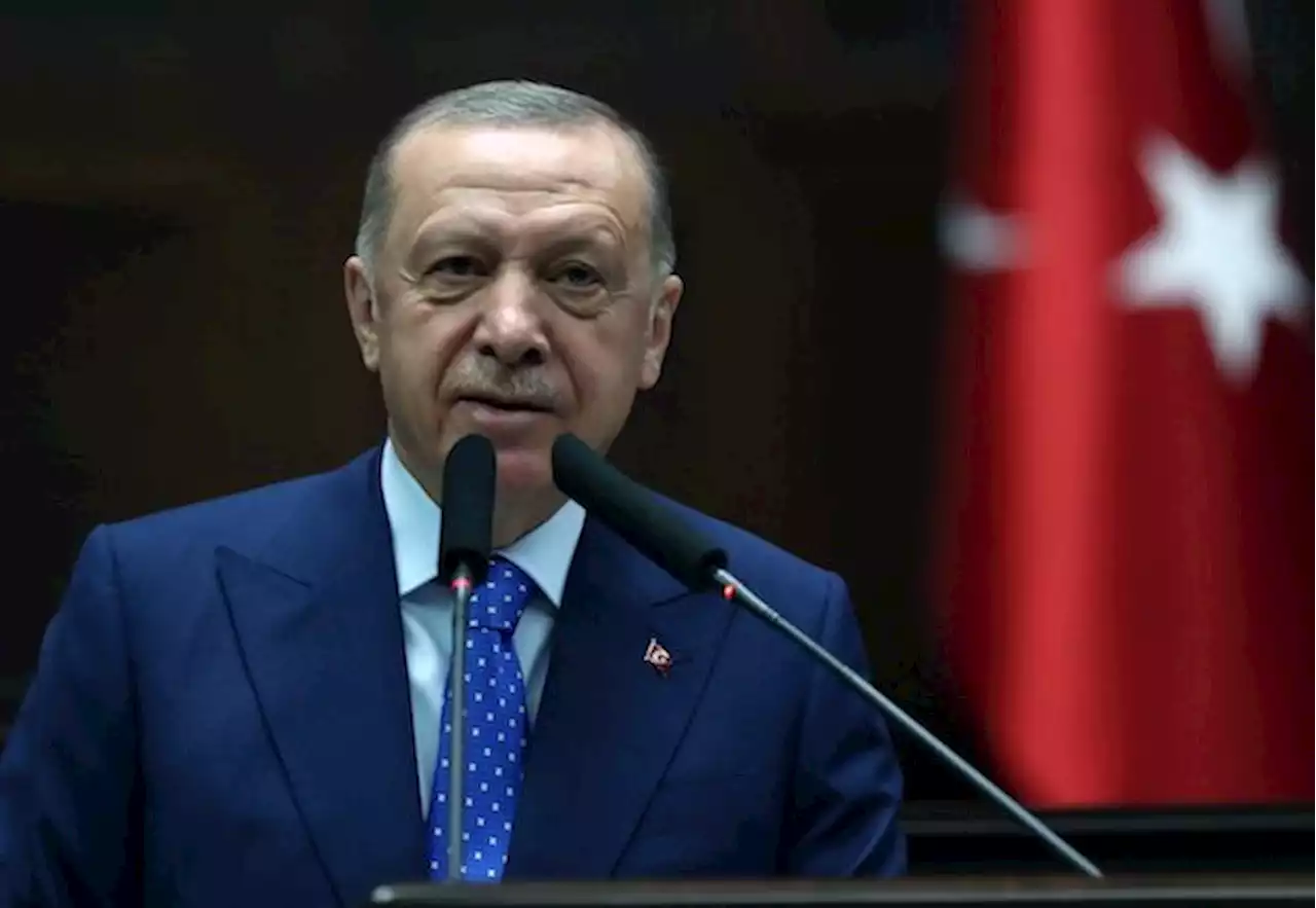 Erdogan discusses concerns with NATO hopefuls Sweden and Finland