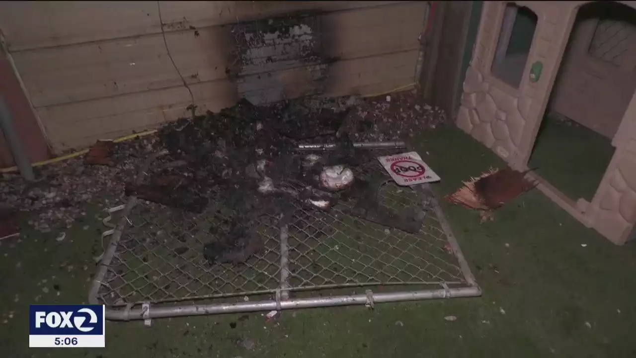 4 dogs die in fire at Brentwood doggy daycare center