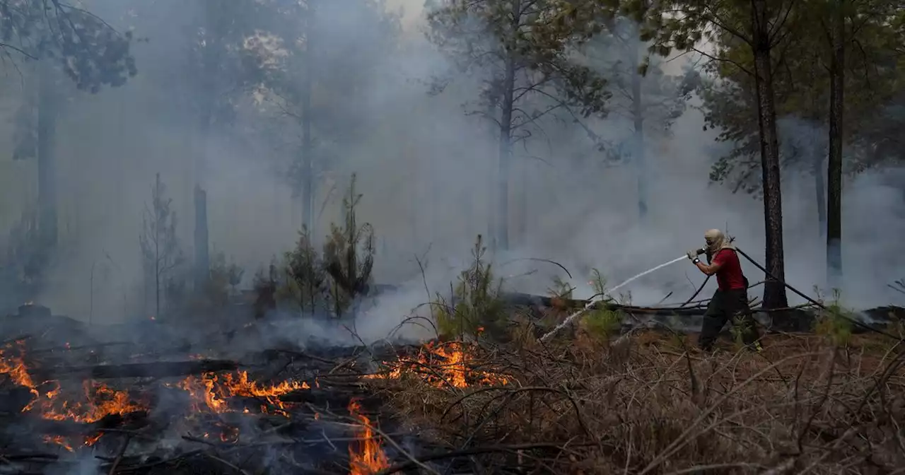 Incendios: Córdoba decretó el “alerta ambiental” por riesgos, hasta diciembre | Ciudadanos | La Voz del Interior