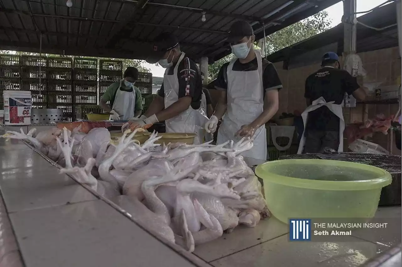 KPDNHEP akan hantar ayam ke kawasan kurang bekalan | The Malaysian Insight