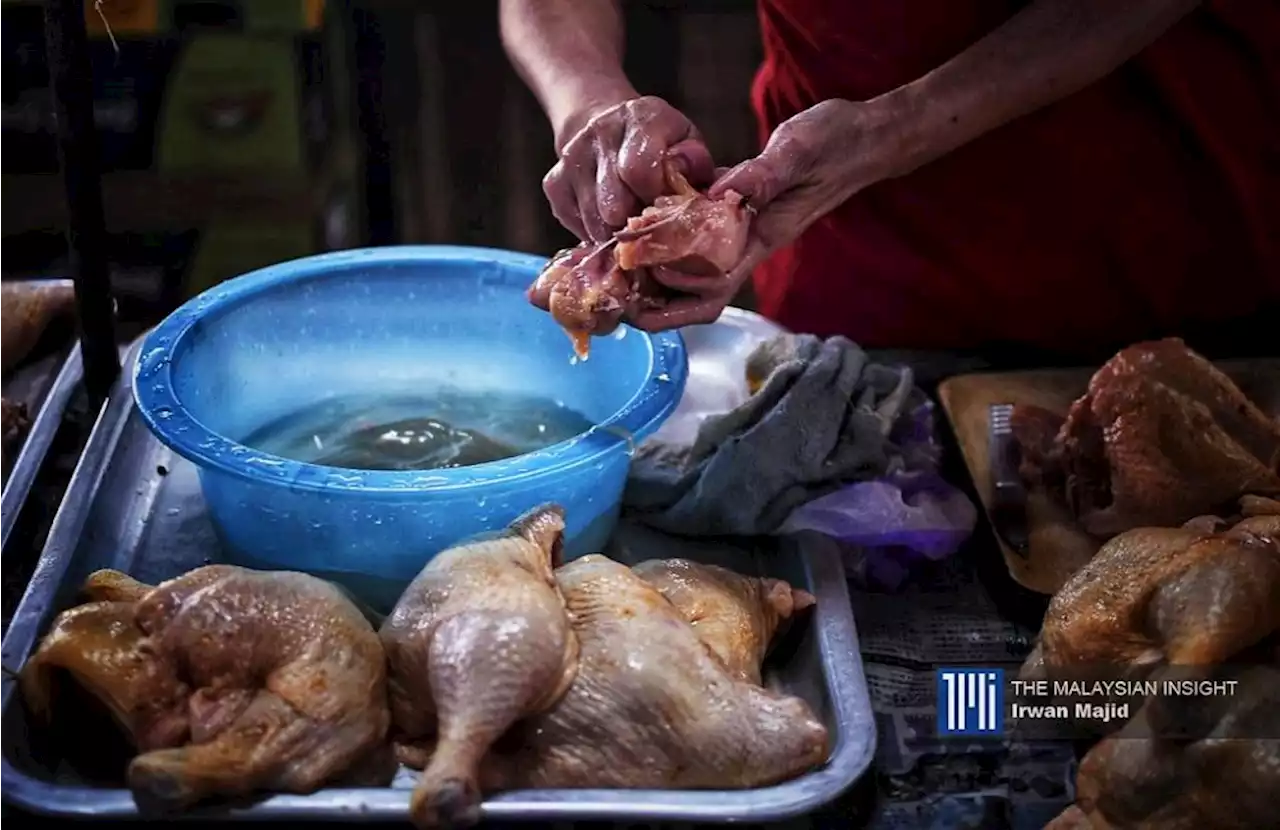 Persatuan ternakan nafi ada boikot oleh kilang proses ayam | The Malaysian Insight