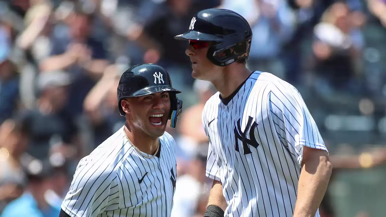 White Sox, Yankees Benches Clear During Josh Donaldson At-Bat