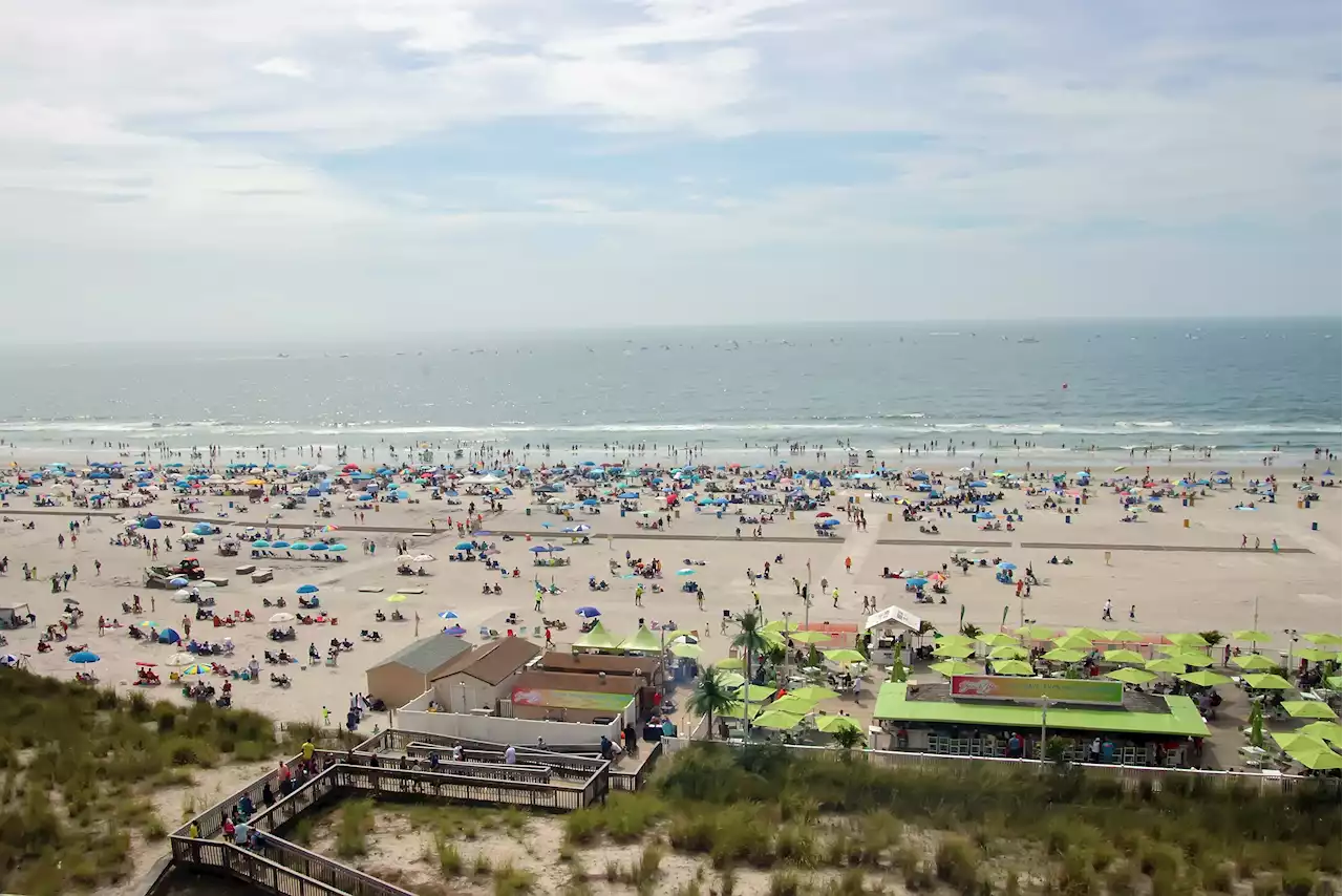 Going to the Beach to Escape This Weekend's Heat? May Be Best to Stay Out of the Water