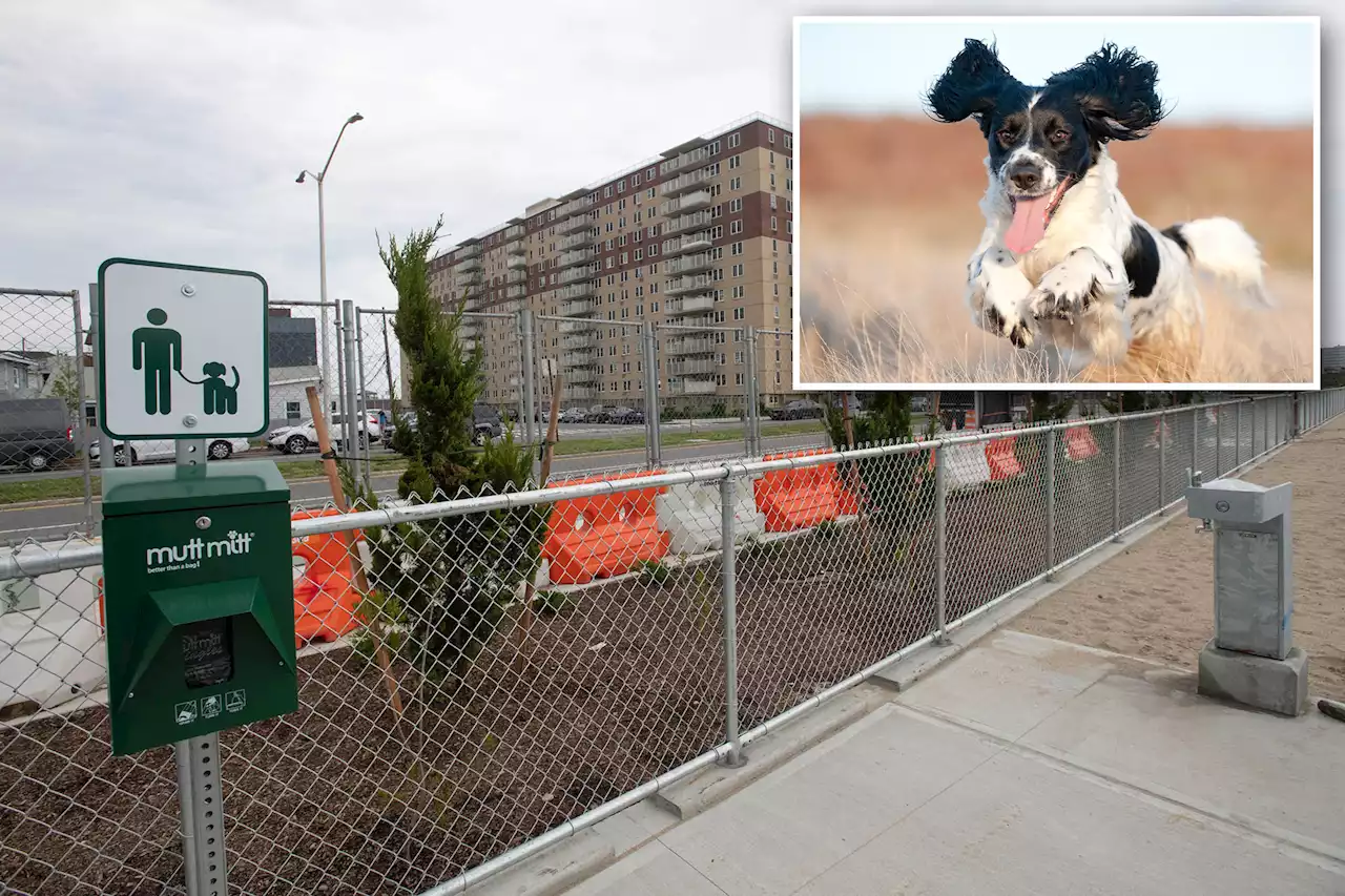 Hot doggin’: City spending whopping $1.8 million on Queens dog run