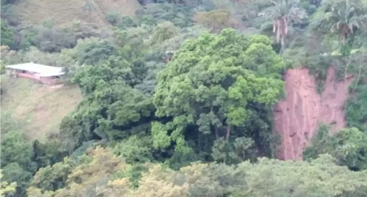 Alcalde sugiere evacuación en zona ribereña de quebrada en Alvarado, Tolima - Pulzo